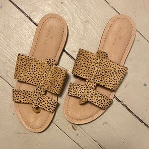 Caslon Brown Spotted Women's Sandals